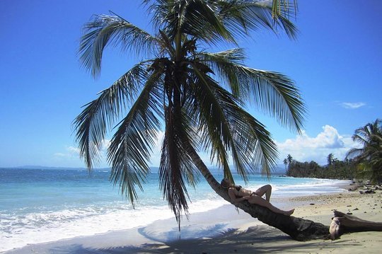 Cahuita National Park Snorkeling Tour  Photo